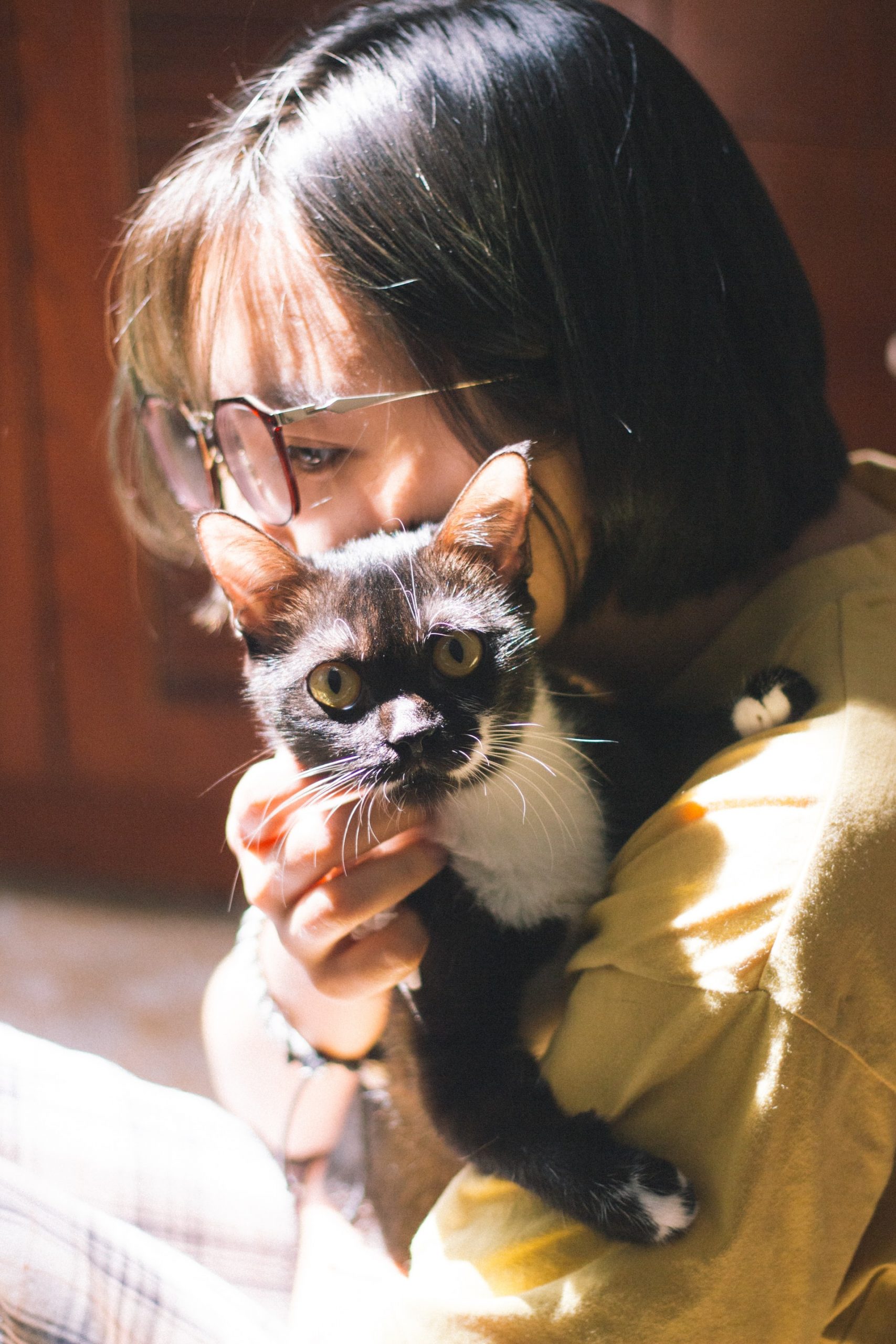 Tout Savoir Sur Les Chats Croquettes Chaton Sante De Nos Chats Tout Savoir Sur Les Chats Croquettes Chaton Sante De Nos Chats