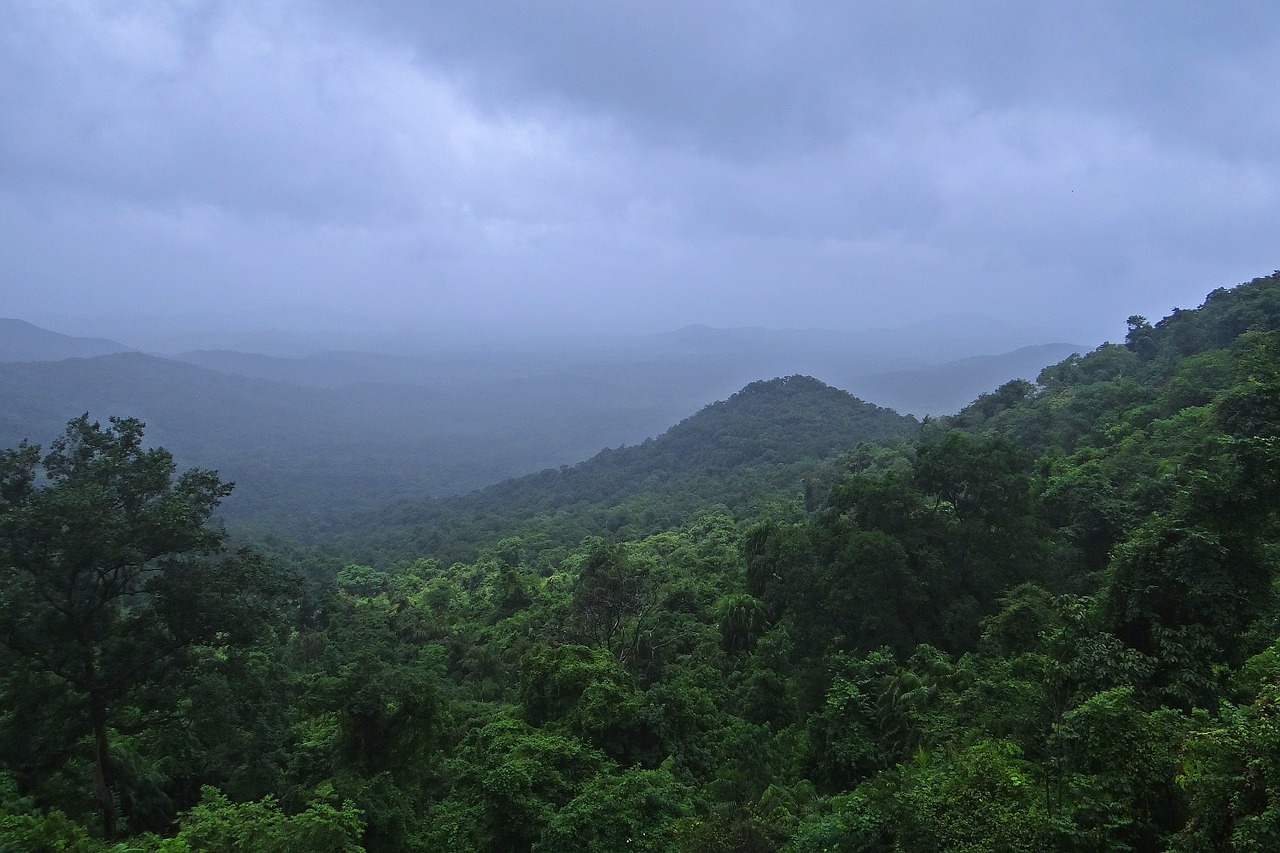 westernghats-biodiversity-hotspot Western ghats biodiversity hotspot
