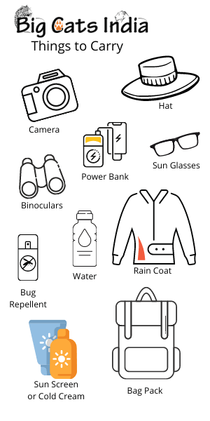 Things to Carry Items to carry in Jungle Safari