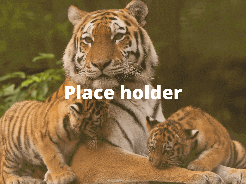 Place holder2