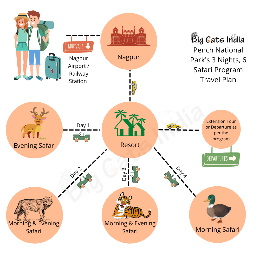 Pench Budget Safari Travel Plan Pench Tiger Safari Travel Plan