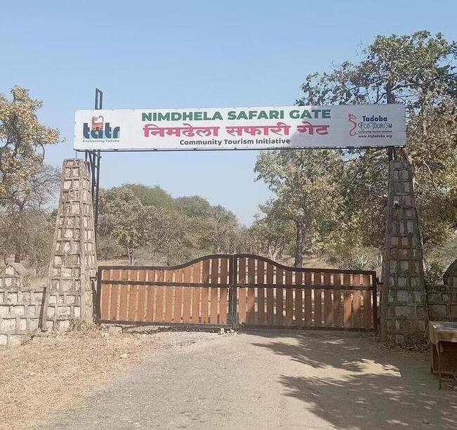 buffer-gate-in-tadoba