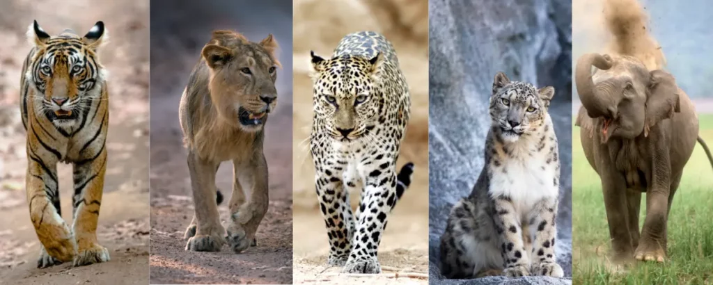 Fixed Departure Tours india Fixed Departure Tours india