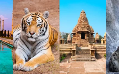 Tour Ideas for first time India visitor – Wildlife, Heritage, Cultural Tour