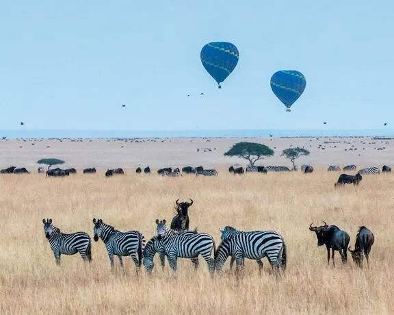 zabra-ideas-masai-mara