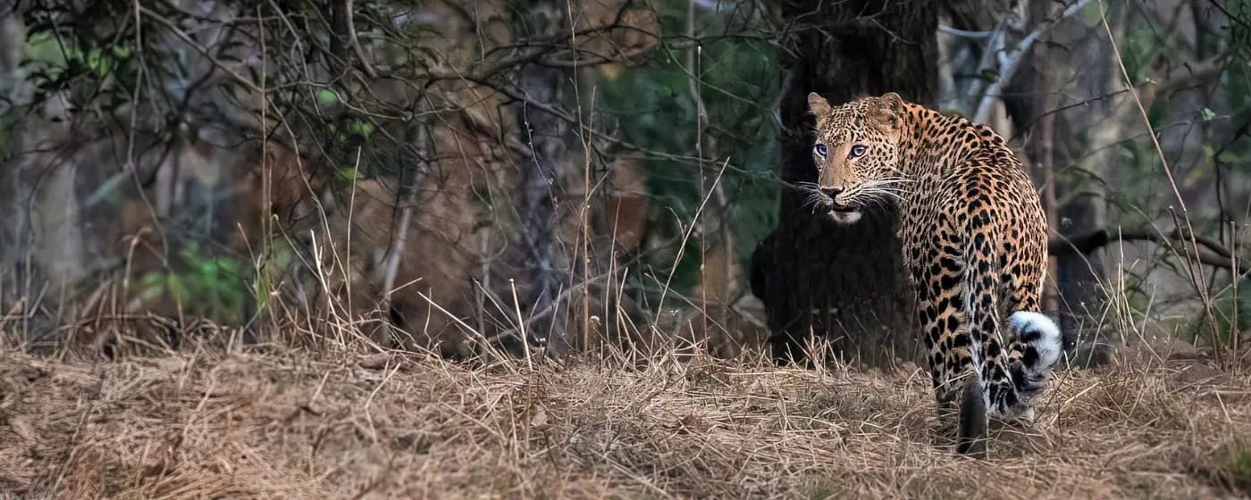 nagazira-fixed-departure nagazira-fixed-departure