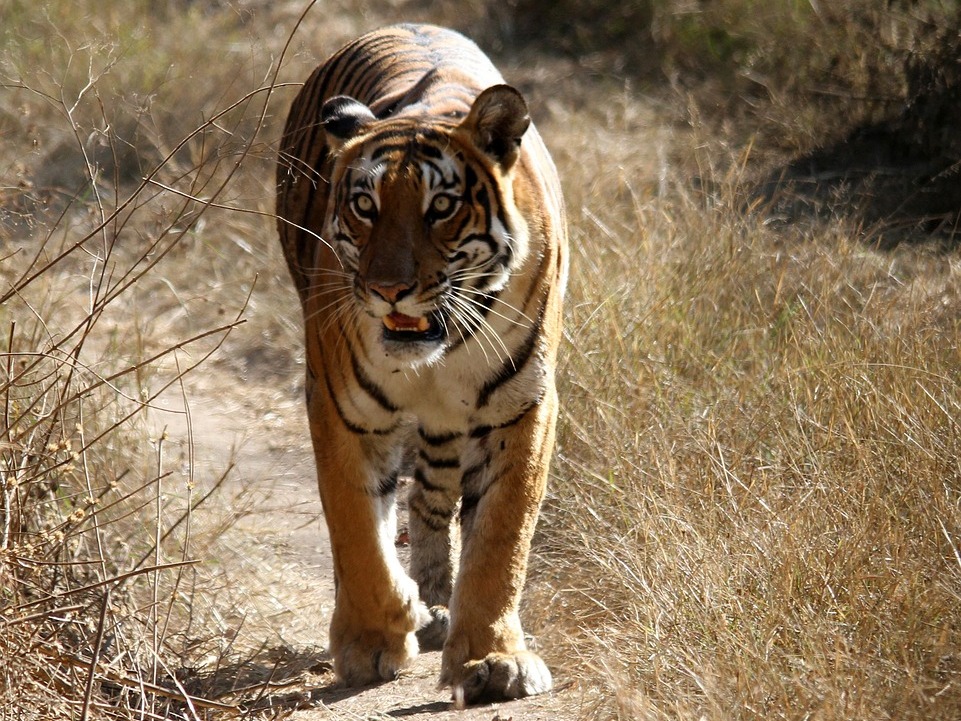 Panna Fixed Departure Panna Fixed Departure