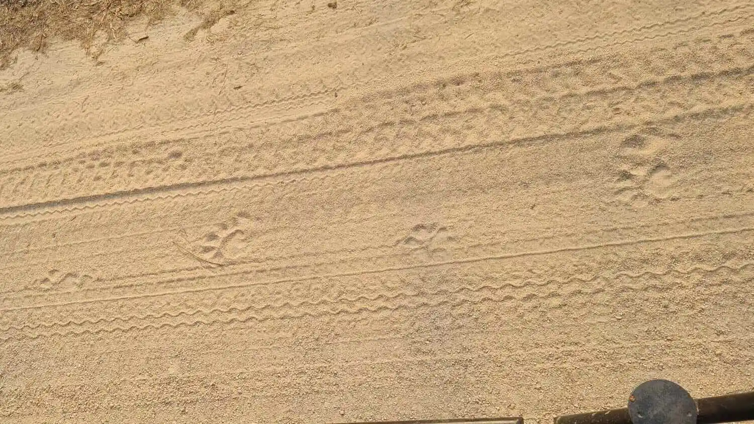 tiger-pugmarks tiger-pugmarks