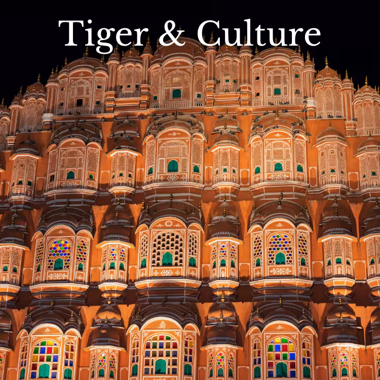 tiger-and-culture-tour tiger-and-culture-tour