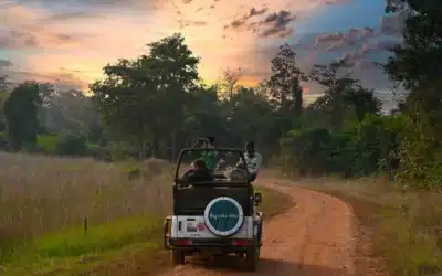 Forest Guide vs Naturalist vs Tour Leader: Understanding the Difference