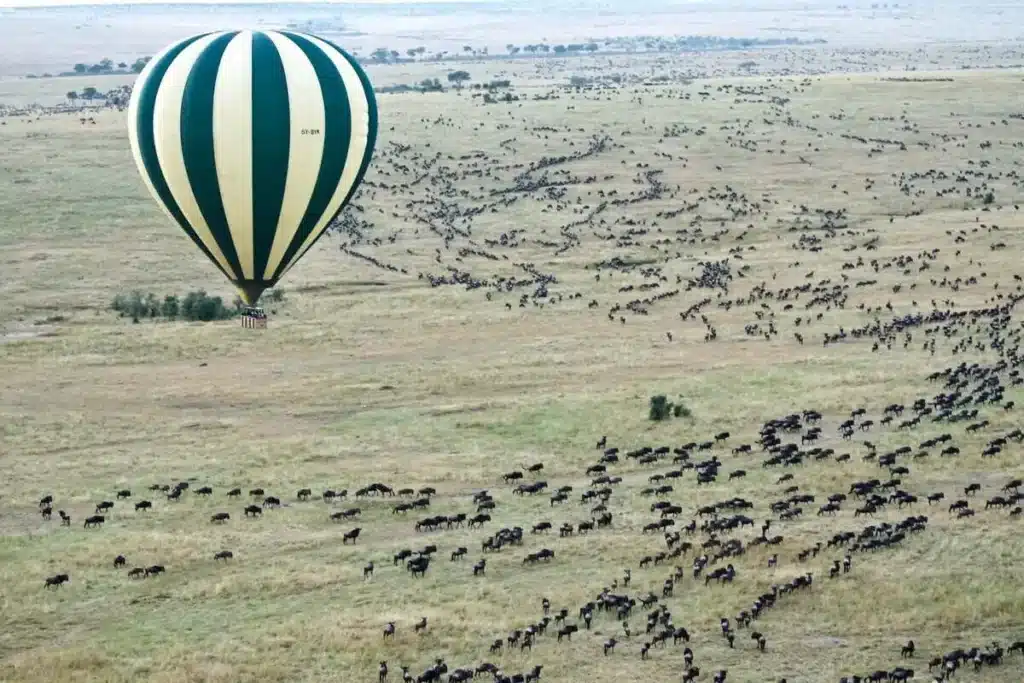 short-trip-masai-mara short-trip-masai-mara