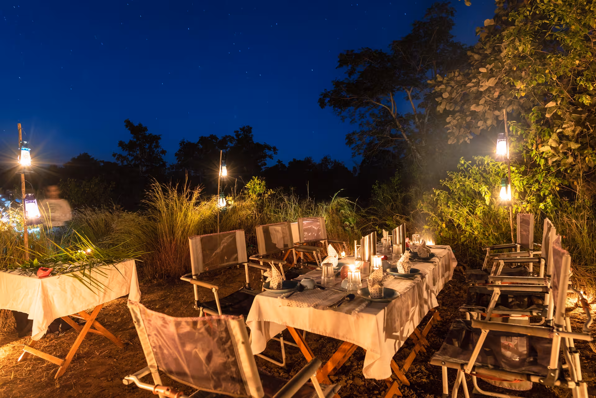 Bush Dinner Bush Dinner