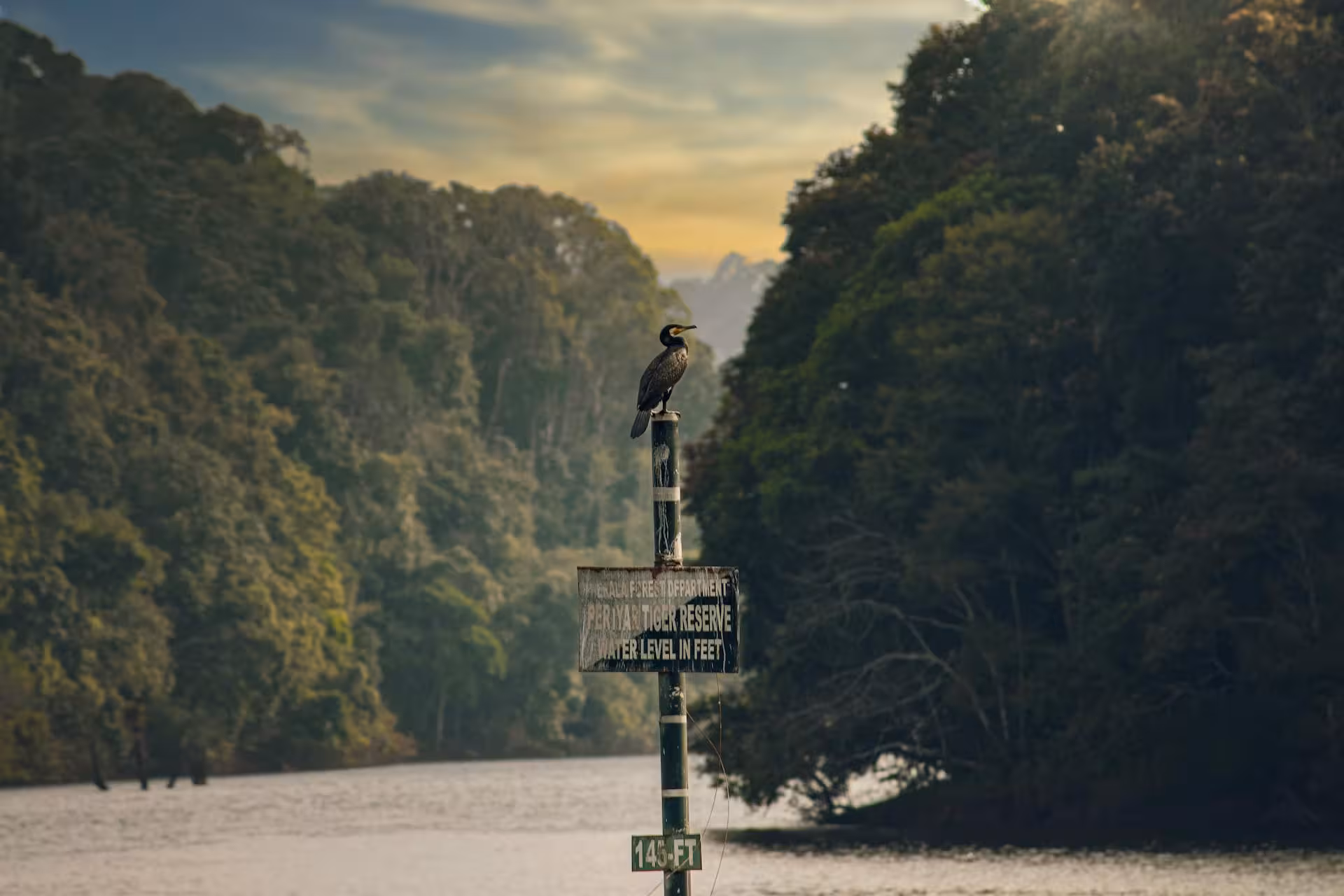 Bird on Periyar Tiger Reserve Sign Bird on Periyar Tiger Reserve Sign