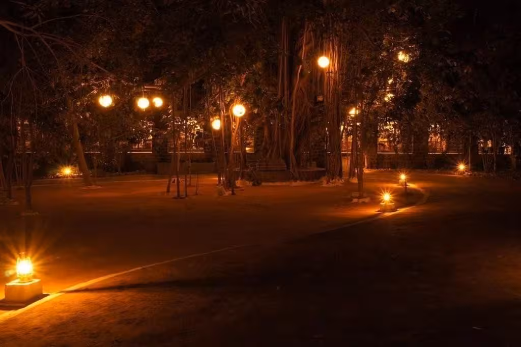 Bandhav Vilas Night View