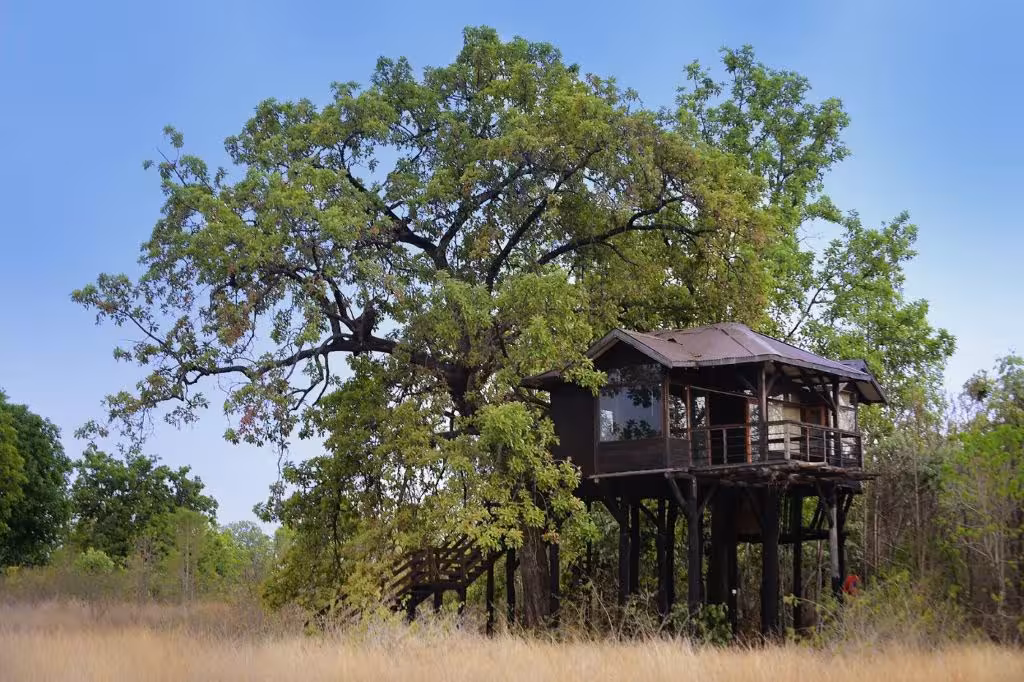 Pench Tree Lodge Image