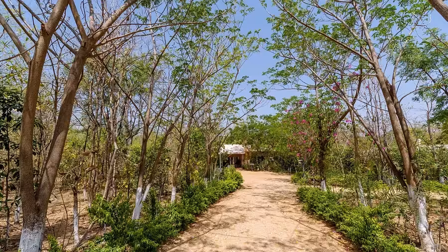 Riverwoods Pench Entrace Riverwoods Pench Entrace