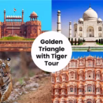 Golden Triangle Itineraries with Tiger Safari Extensions