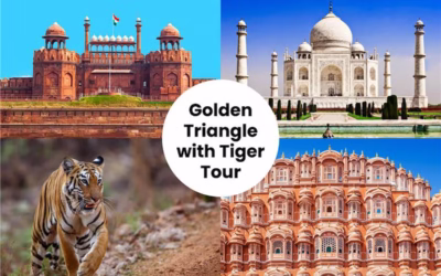Golden Triangle Itineraries with Tiger Safari Extensions