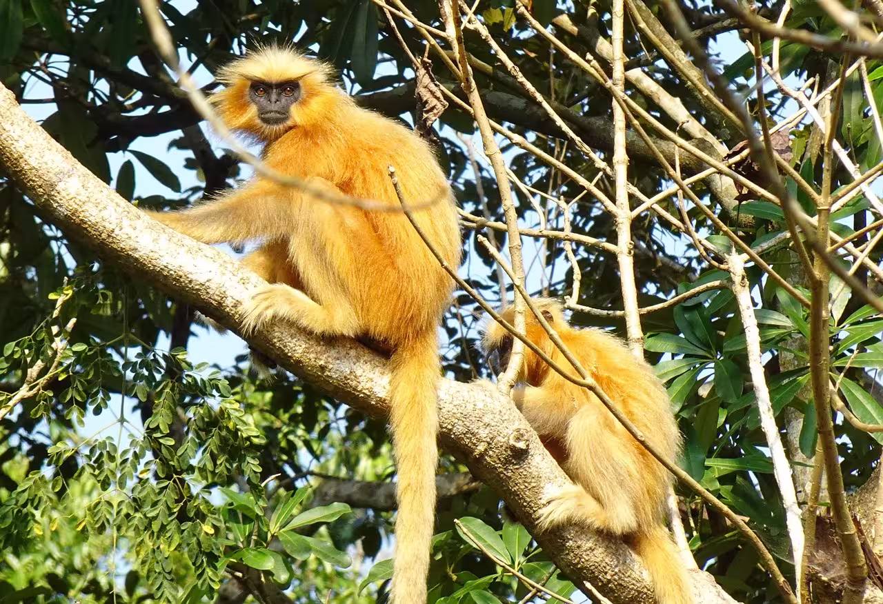 Sikhwna Jwhwlao National Park Sikhwna Jwhwlao National Park