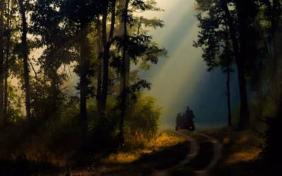 Slow Travel and Wildlife Tourism: Why the Journey Matters More Than Ever
