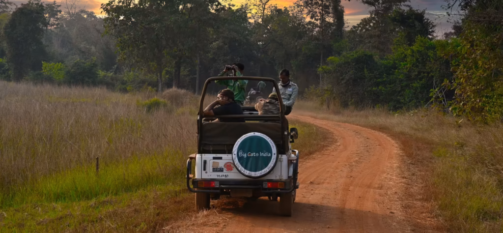 Jeep Safari With Big Cats India Jeep Safari With Big Cats India