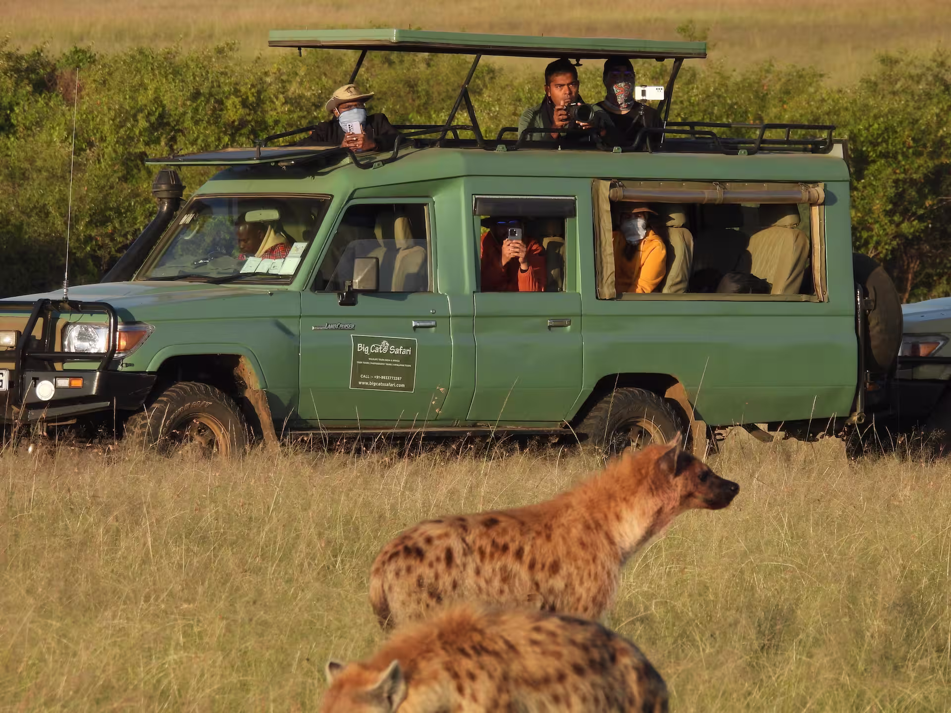 Masai Mara Game Drive with Big cats