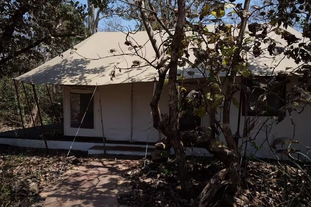 Jamtara Wilderness Camp Luxury Tent