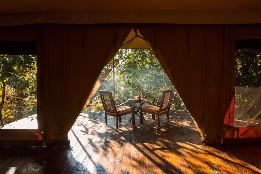 Jamtara Wilderness Camp Tent