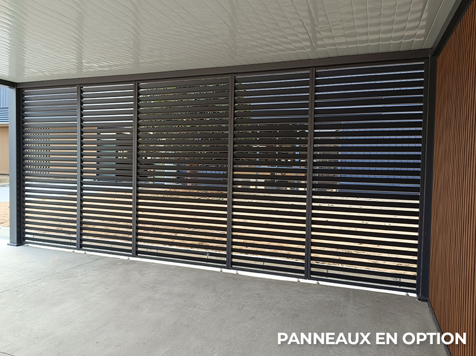 carport alu 2 voitures