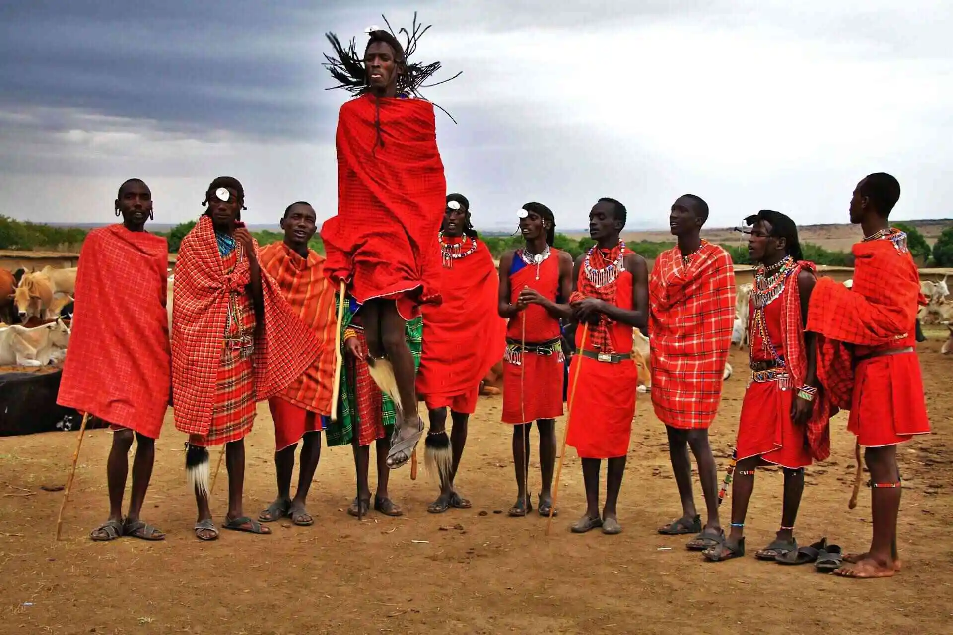 Masai tribe dancing