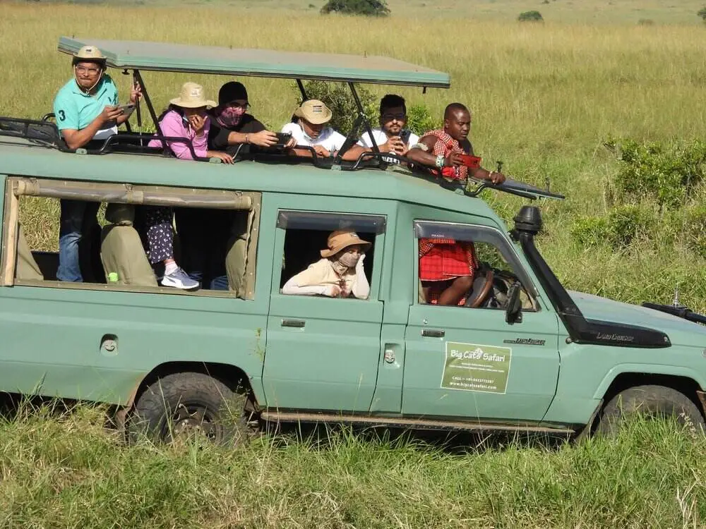 safari-group Safari Group