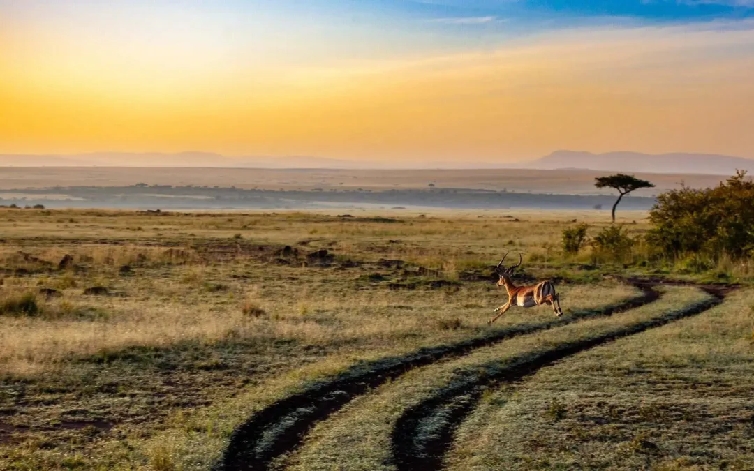 Best time to visit Serengeti
