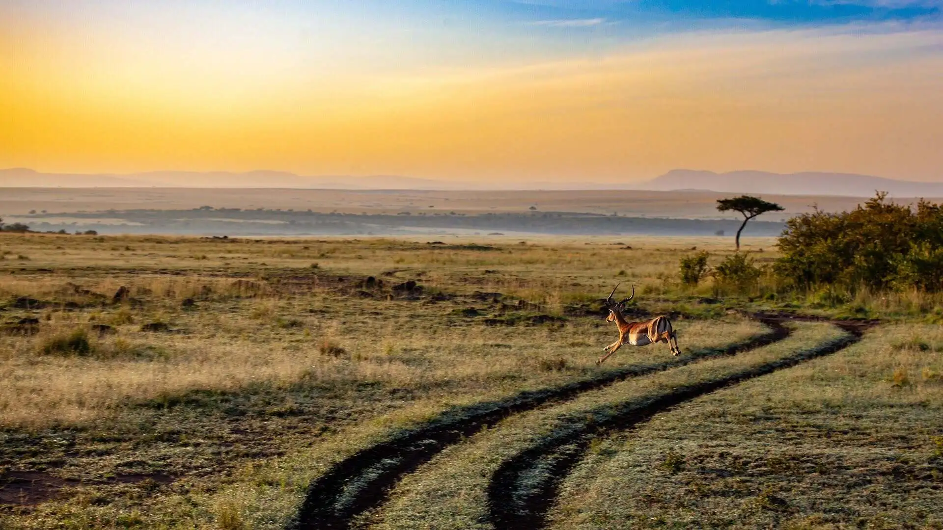 Sunset at Serengeti