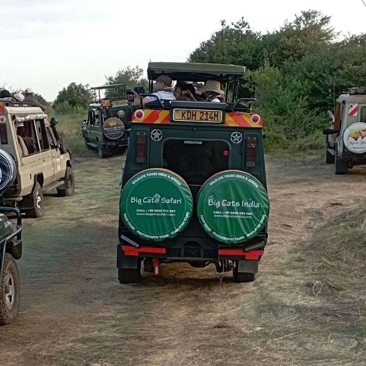 road-transfer-cruiser road-transfer-cruiser