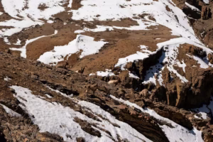 Ibex on Himalayan Rugged Terrain Ibex on Himalayan Rugged Terrain