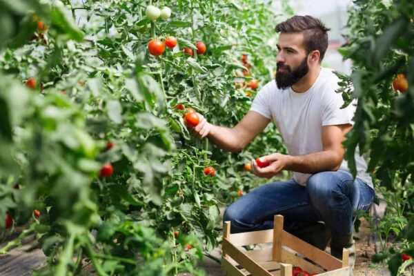 Working in Agriculture and Fisheries Agriculture and Fisheries. Find jobs here | Talent Portugal