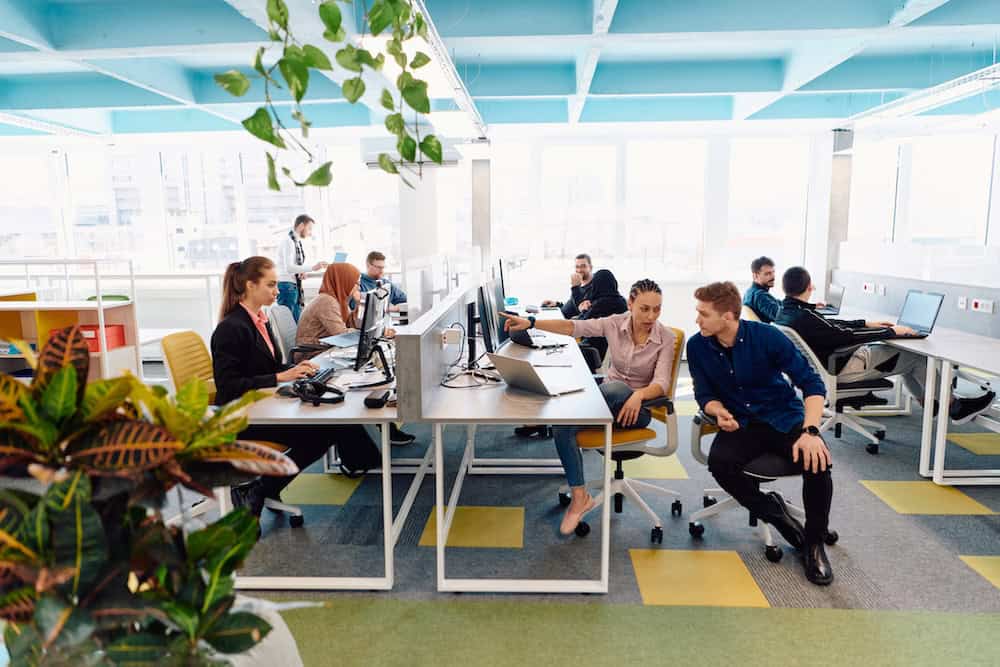 What is the size of the company where you want to work? | Talent Portugal