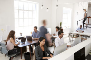 Flat structure: which companies to work for?