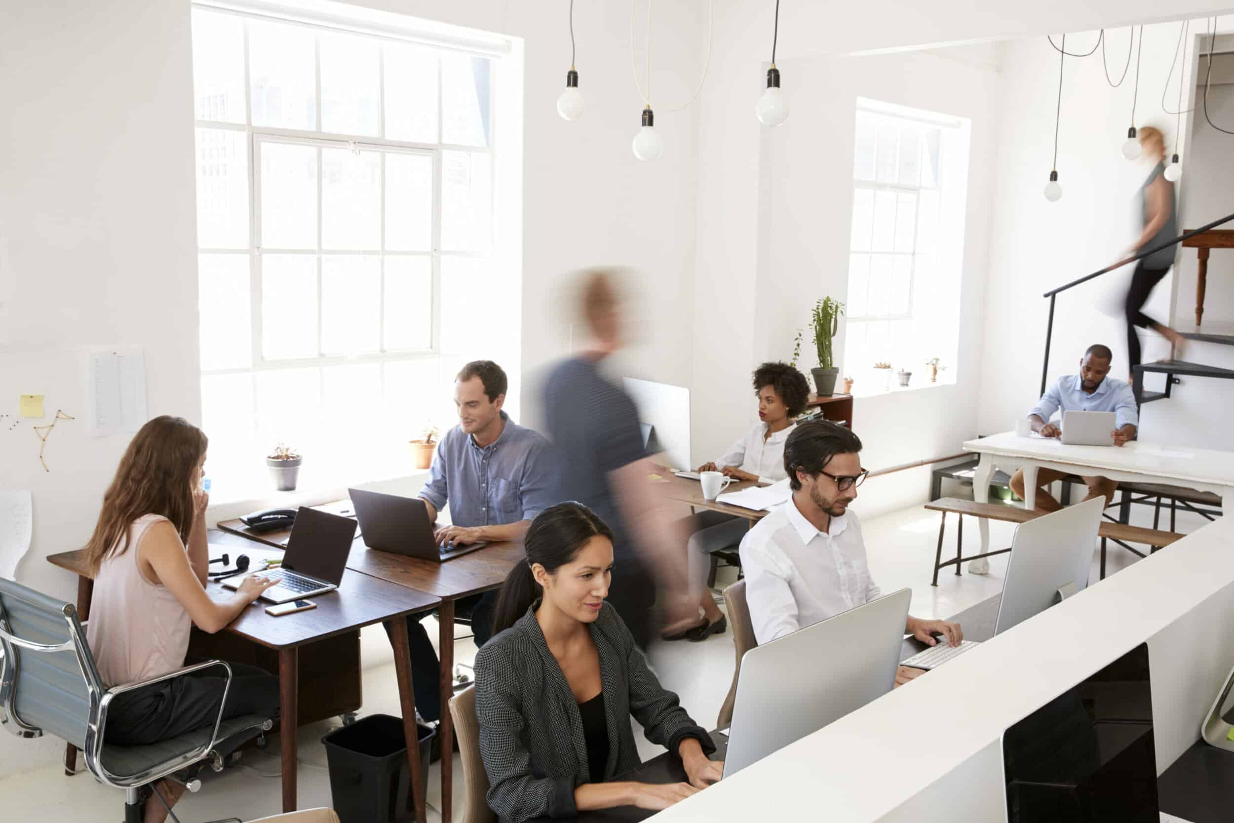 Flat structure: which companies to work for? Flat structure: which companies to work for?