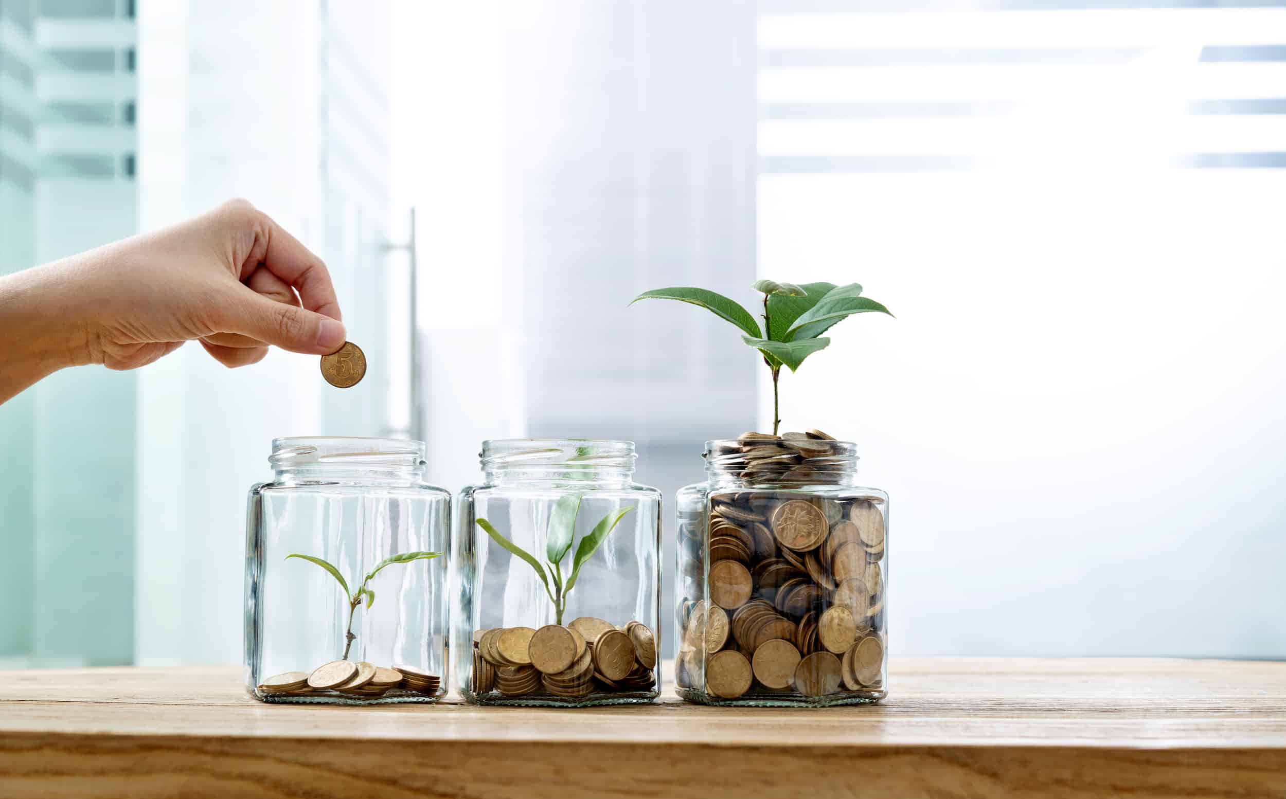 Plano_de_pensoes_beneficio_empresas_emprego_estagio_candidatura_spontanea_talent_portugal How do pension plans work?