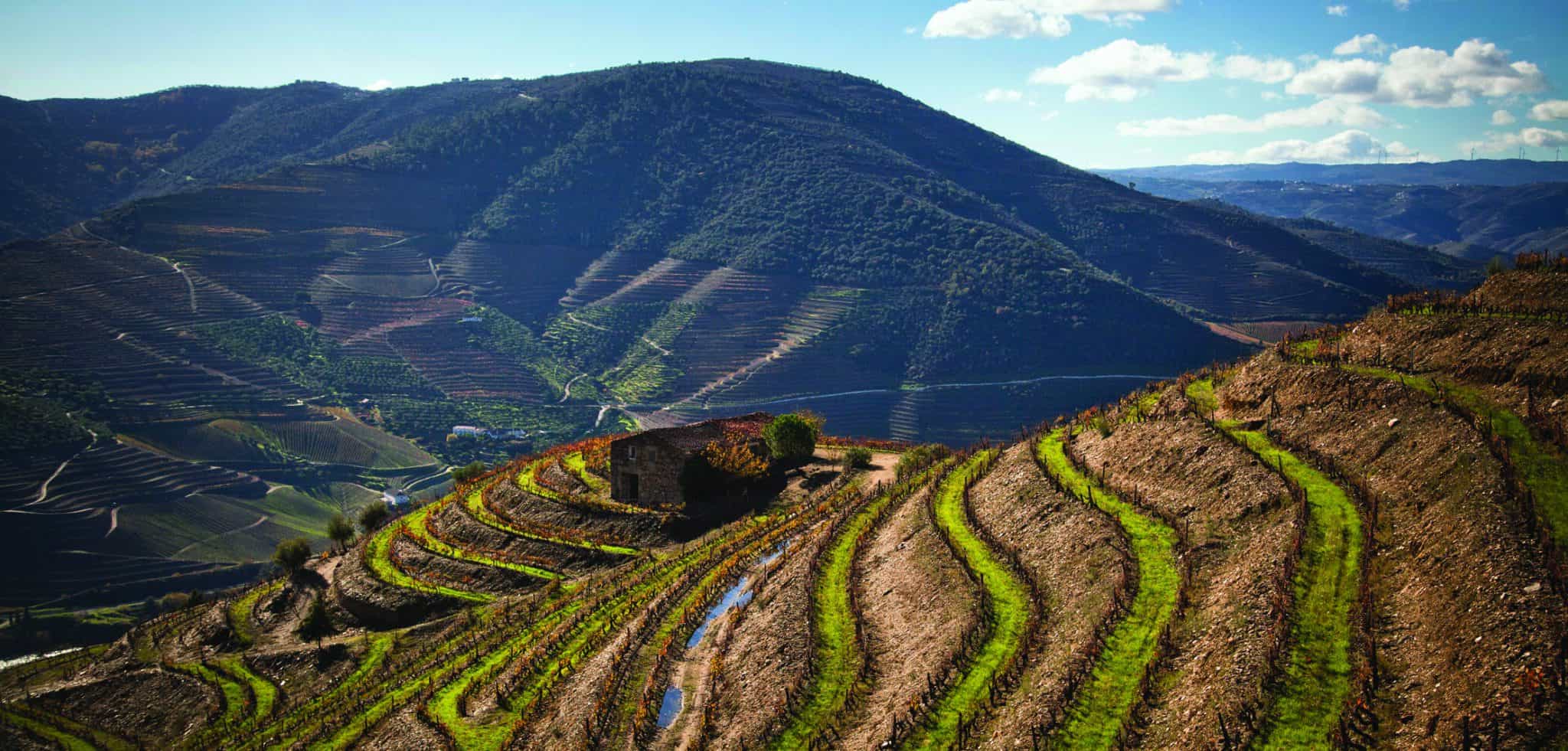 Symington Family Estates - Looking for the brightest talent.