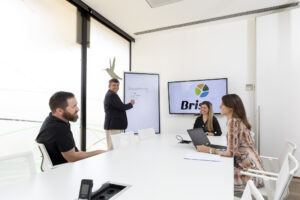 Brisa - Move towards the future and sustainability