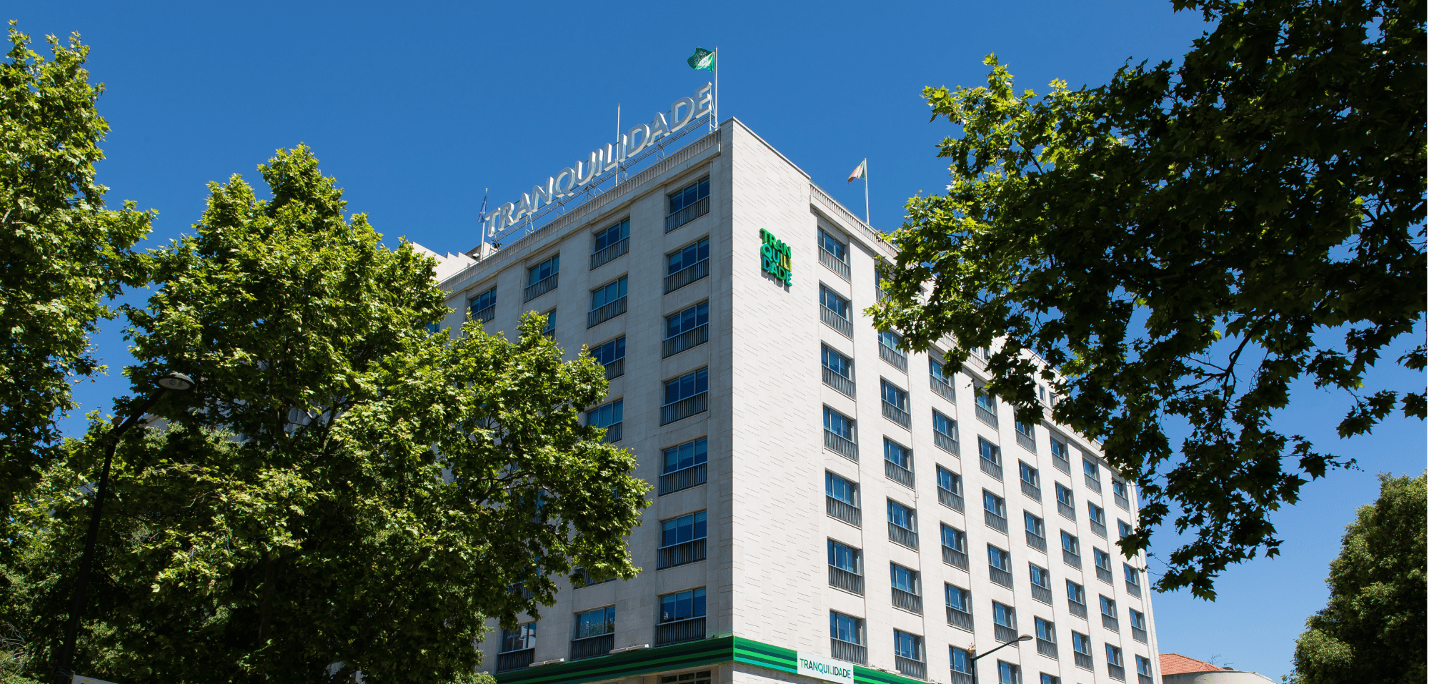 Grow professionally at Tranquilidade