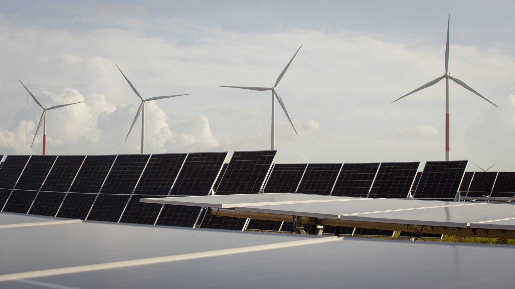 Voltalia - A family passionate about renewable energy | Talent Portugal Blog