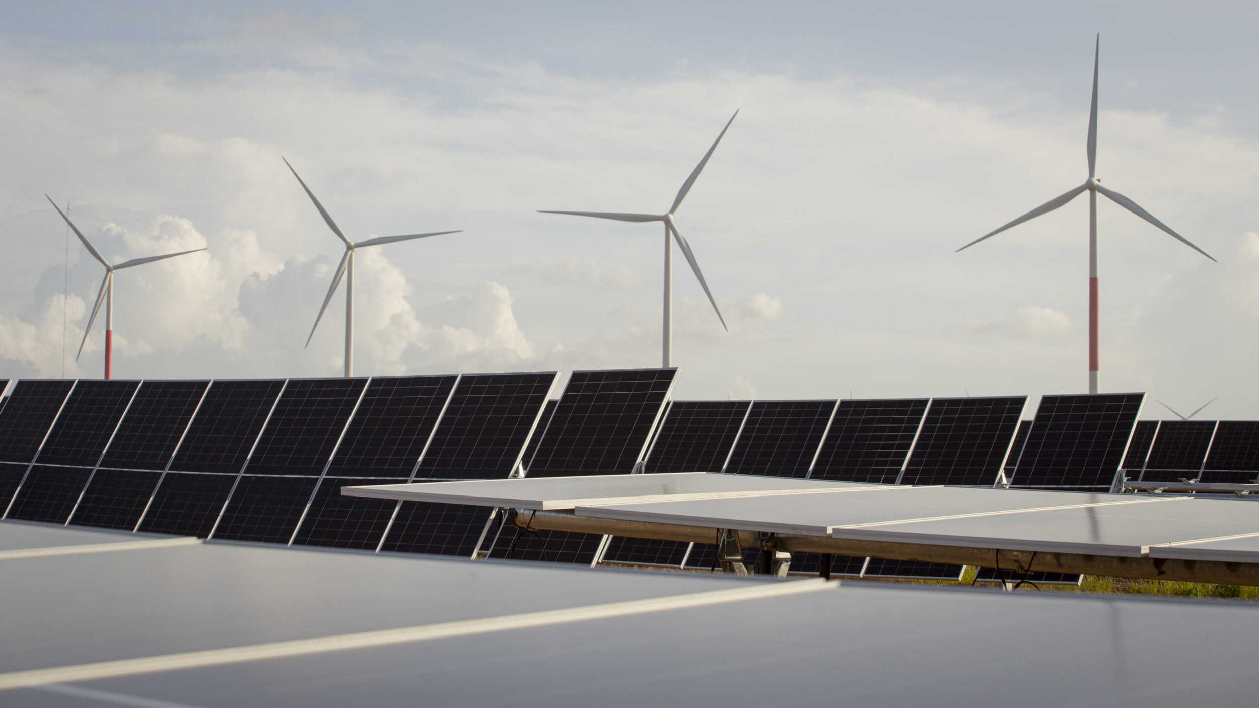Voltalia - A family passionate about renewable energy | Talent Portugal Blog