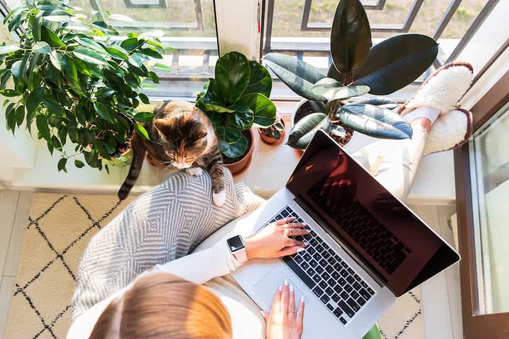 Empresas que oferecem TELETRABALHO | Talent Portugal Empresas que oferecem TELETRABALHO | Talent Portugal