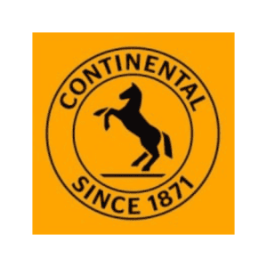 continental-employer-conferencia de marca 2027 - talento Portugal -networking