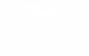 logo application