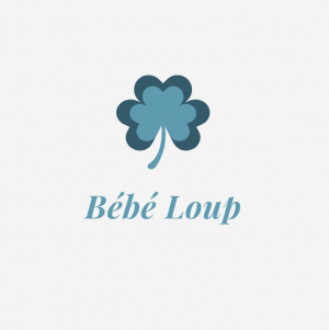 Creche Bebe Loup Small Business Loan Application