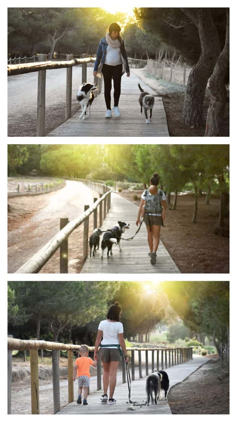 Vacaciones, perros, gatos y niños, image size:768x1365